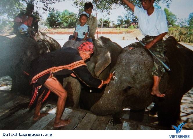 Có Một Tây Nguyên Hoàn Toàn Khác Qua Ống Kinh Người Nhật - Ảnh 6