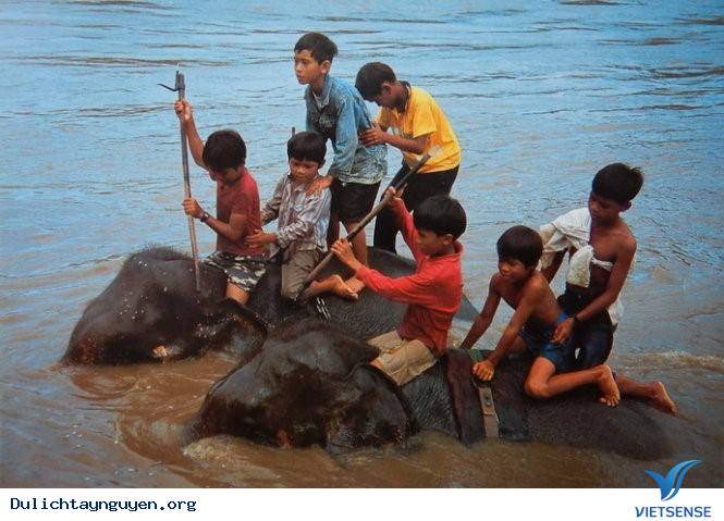 Có Một Tây Nguyên Hoàn Toàn Khác Qua Ống Kinh Người Nhật - Ảnh 5