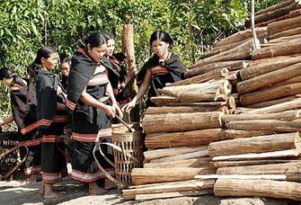 Củi hứa hôn và phong tục cưới hỏi của người Giẻ – Triêng Củi hứa hôn và phong tục cưới hỏi của người Giẻ – Triêng