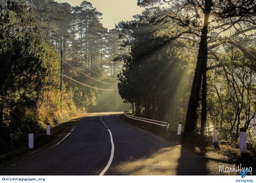 Cuộc Sống Không Vội Vã Giữa Núi Rừng Tây Nguyên - Ảnh 9