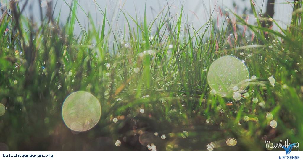 Cuộc Sống Không Vội Vã Giữa Núi Rừng Tây Nguyên - Ảnh 11