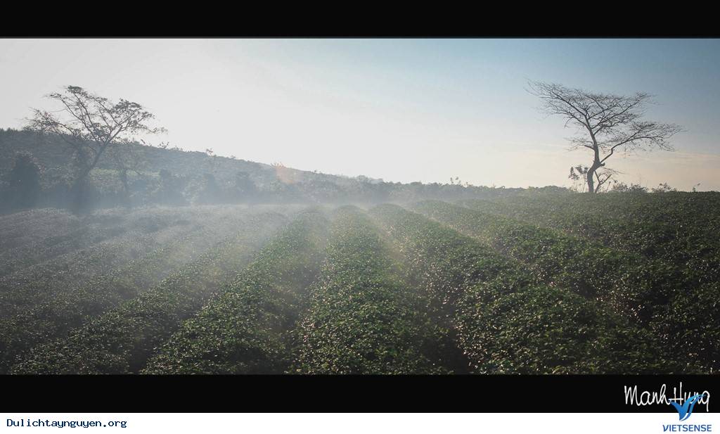 Cuộc Sống Không Vội Vã Giữa Núi Rừng Tây Nguyên