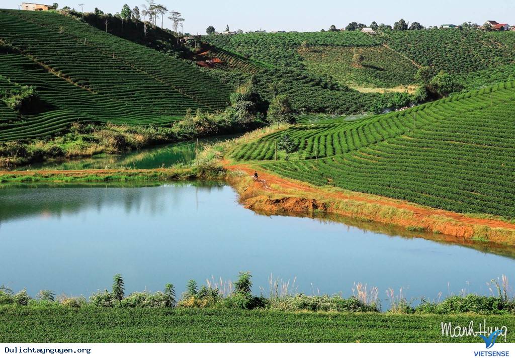 Cuộc Sống Không Vội Vã Giữa Núi Rừng Tây Nguyên