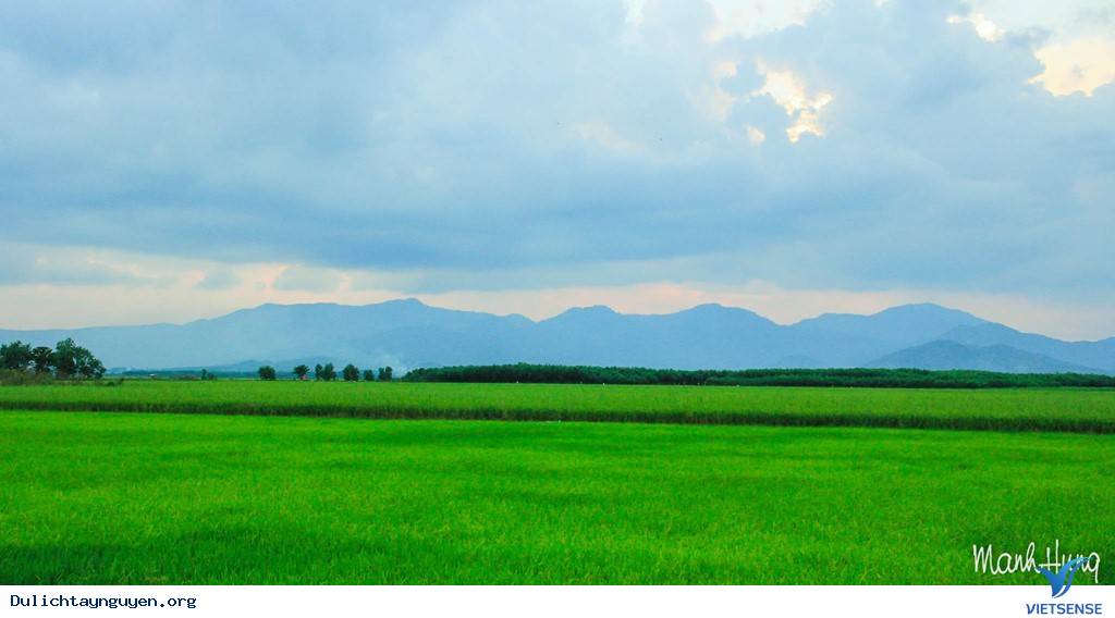 Cuộc Sống Không Vội Vã Giữa Núi Rừng Tây Nguyên