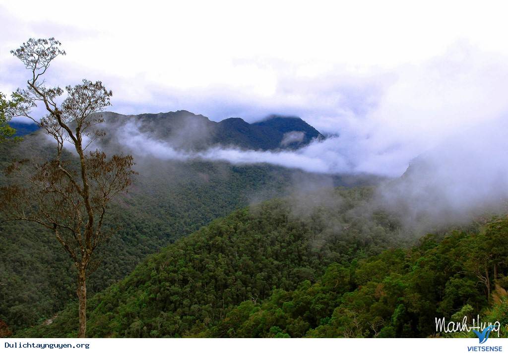 Cuộc Sống Không Vội Vã Giữa Núi Rừng Tây Nguyên - Ảnh 13