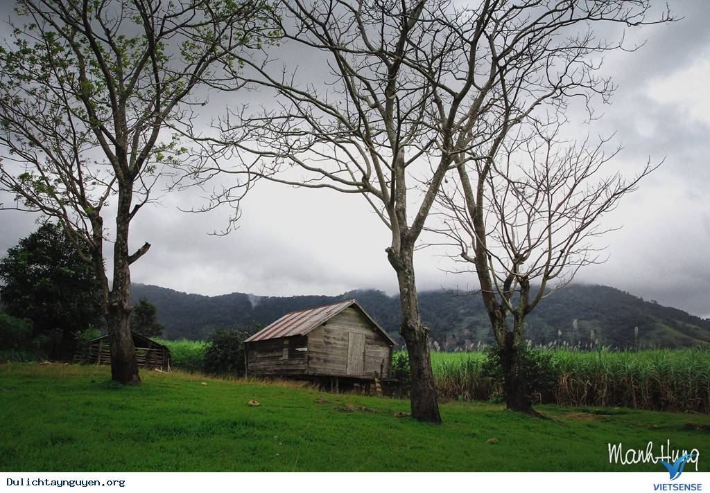 Cuộc Sống Không Vội Vã Giữa Núi Rừng Tây Nguyên - Ảnh 12