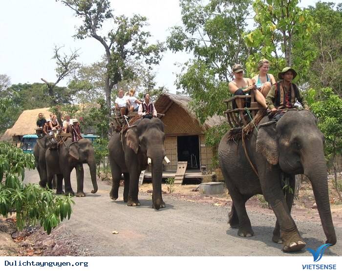 Cưỡi voi ở bản Đôn Cưỡi voi ở bản Đôn