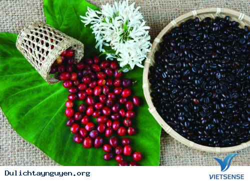 Đất Trời Tây Nguyên Đẹp Dịp Dàng Những Ngày Mua Hoa Tháng Ba - Ảnh 2 Đất Trời Tây Nguyên Đẹp Dịp Dàng Những Ngày Mua Hoa Tháng Ba - Ảnh 2