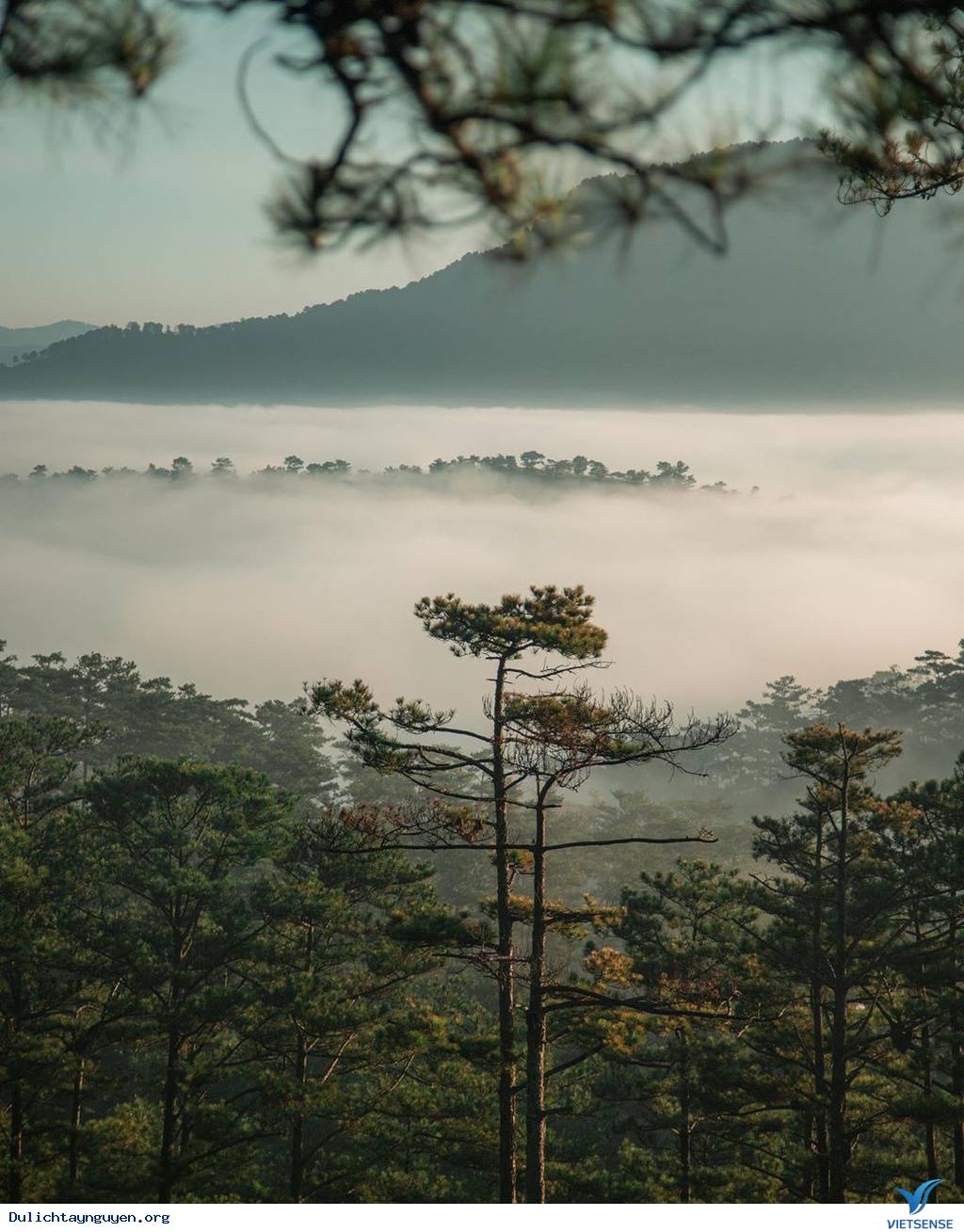 Điểm săn mây đồi Đa Phú - Ảnh 4