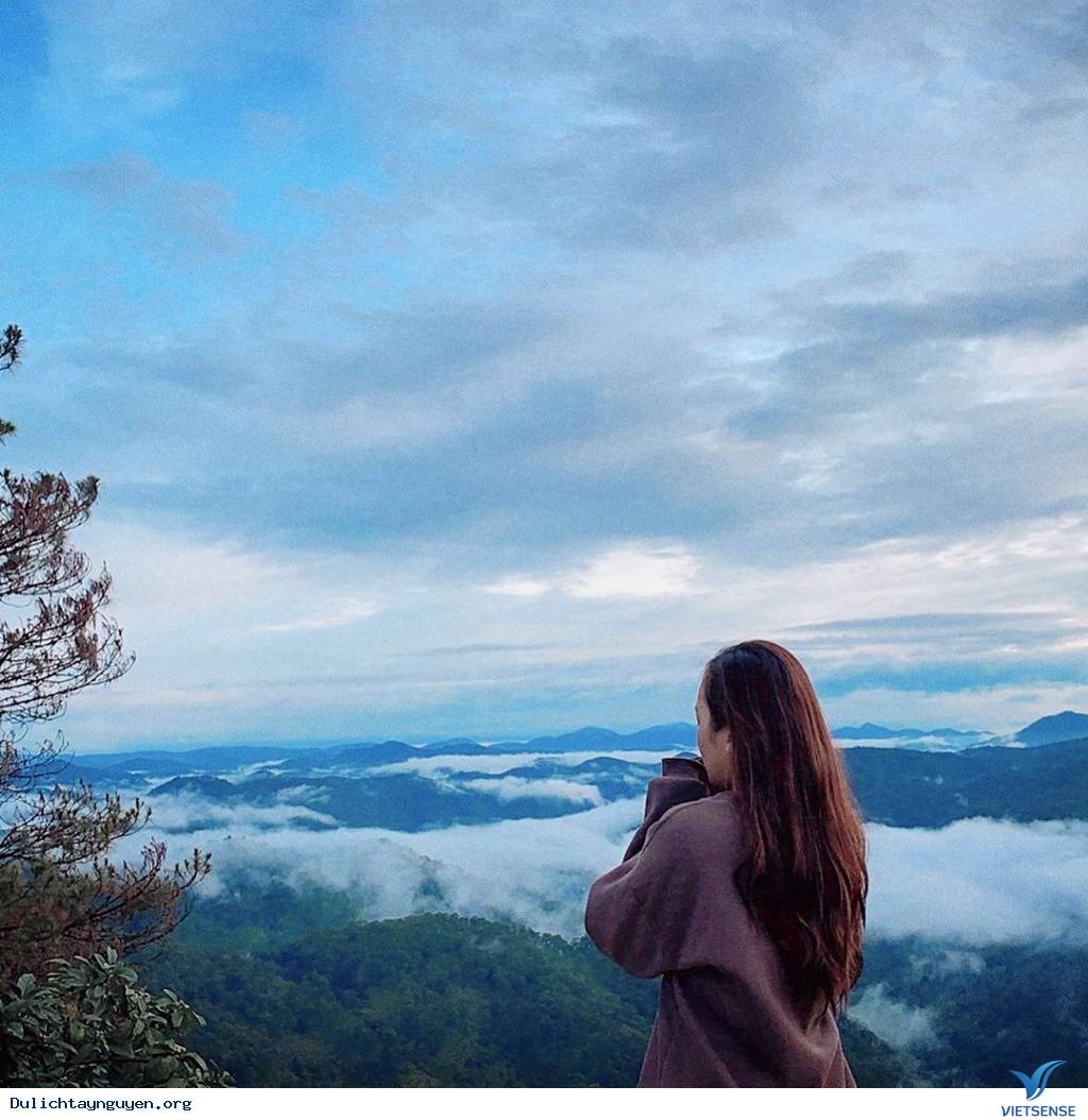 Săn mây ở đồi chè Cầu Đất - Ảnh 3