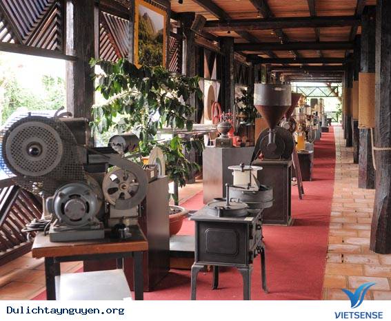 Bảo Tàng Cafe Tây Nguyên - Ảnh 2