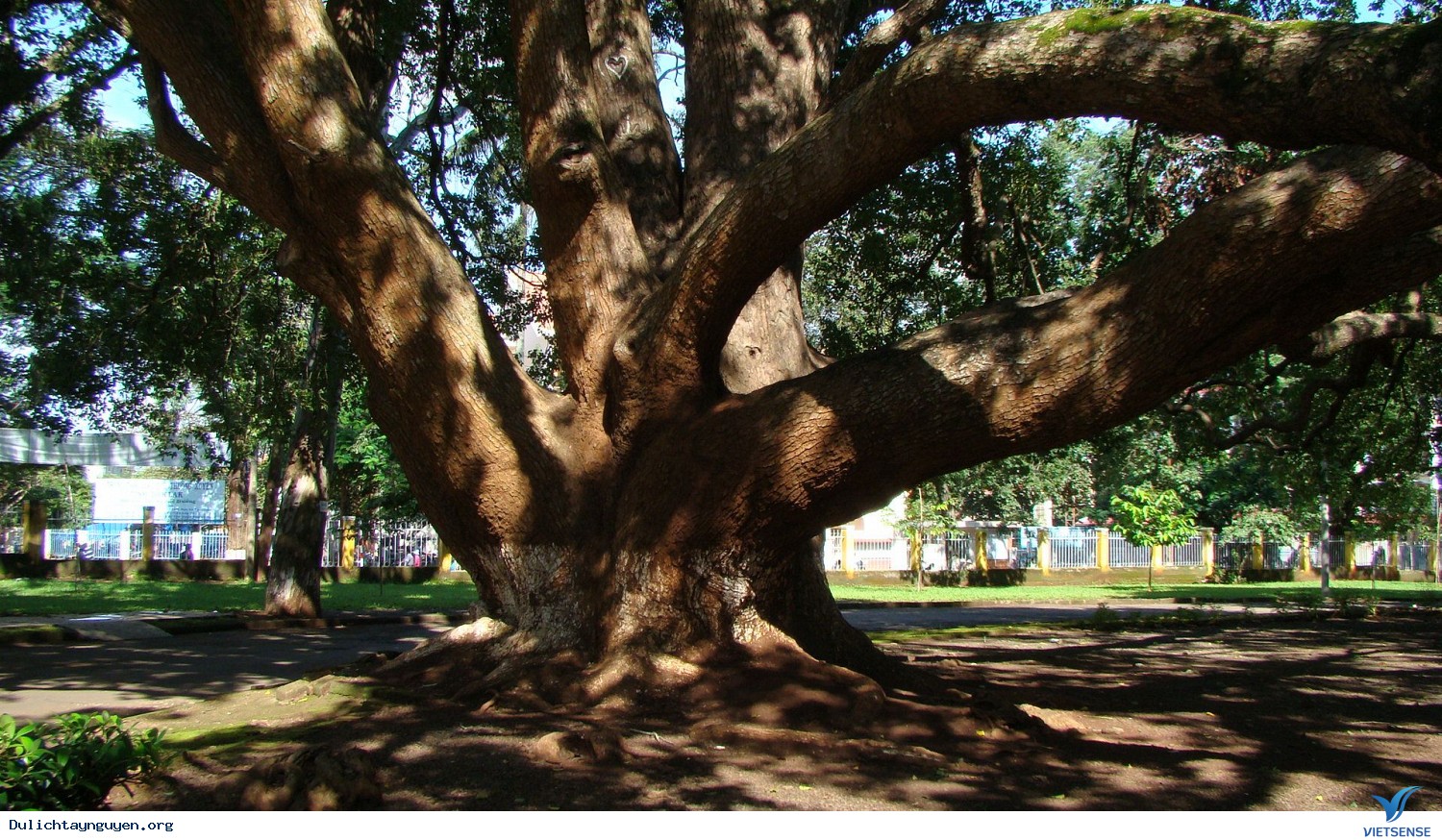 Biệt Điện Bảo Đại: Khám phá tư dinh của vị vua cuối cùng - Ảnh 2 Biệt Điện Bảo Đại: Khám phá tư dinh của vị vua cuối cùng - Ảnh 2