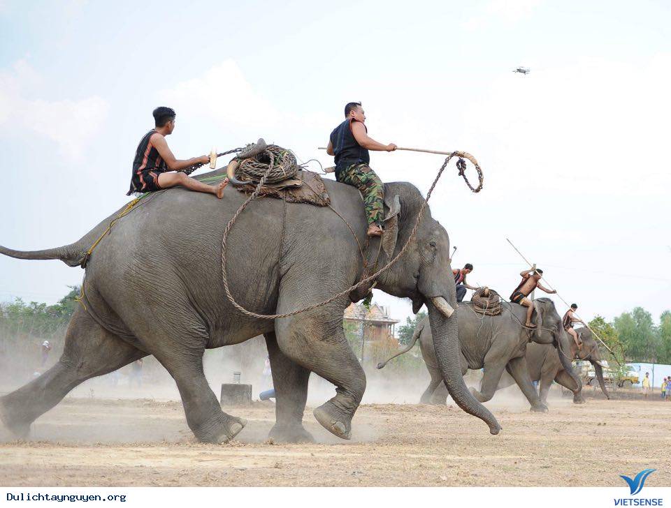 Cầu Treo Buôn Đôn - Ảnh 7 Cầu Treo Buôn Đôn - Ảnh 7