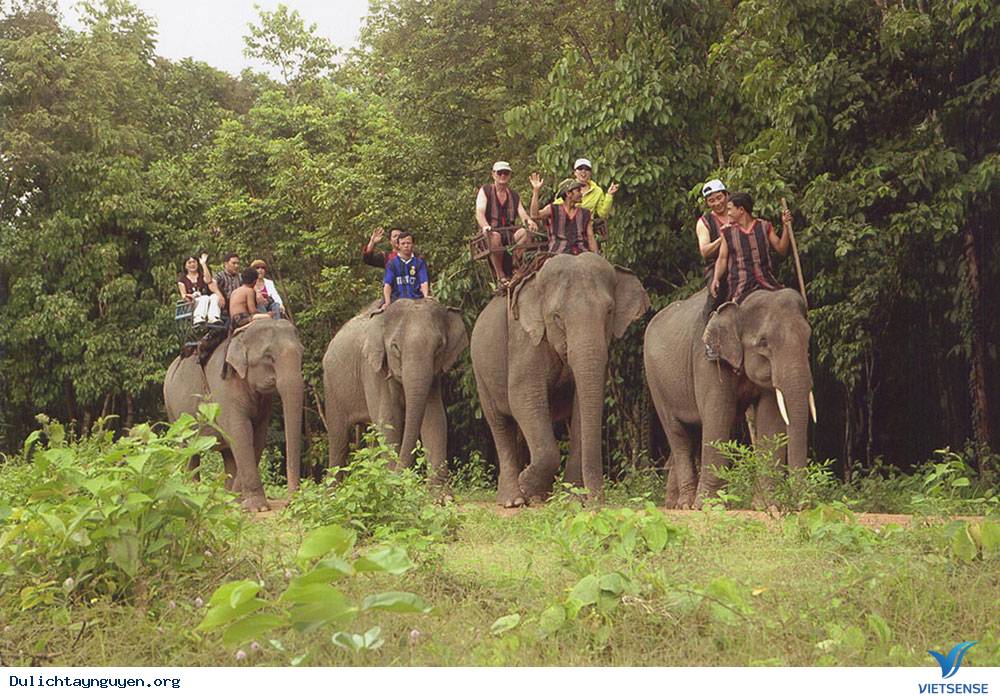 Cầu Treo Buôn Đôn - Ảnh 3 Cầu Treo Buôn Đôn - Ảnh 3