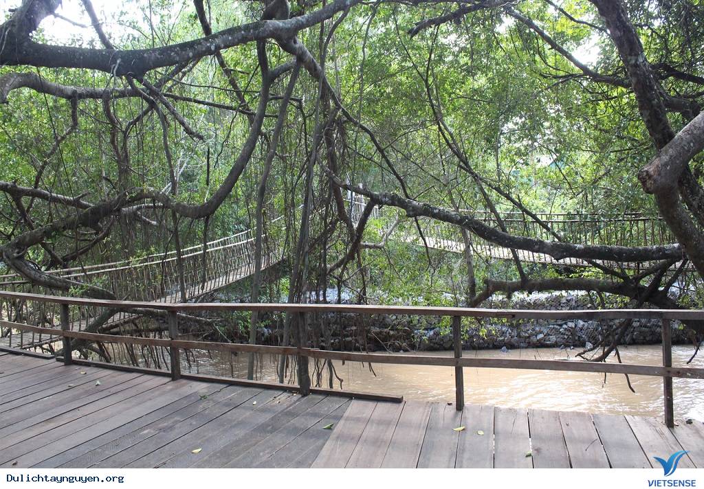 Cầu Treo Buôn Đôn - Ảnh 5 Cầu Treo Buôn Đôn - Ảnh 5