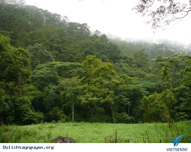 Vườn Quốc Gia Chư Yang Sin - Ảnh 1 Vườn Quốc Gia Chư Yang Sin - Ảnh 1