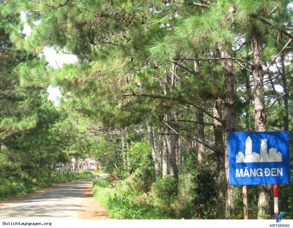 Điểm hấp dẫn khách thăm quan của KDL sinh thái Măng Đen - Ảnh 1