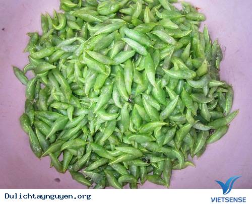 Sâu muồng Sâu muồng