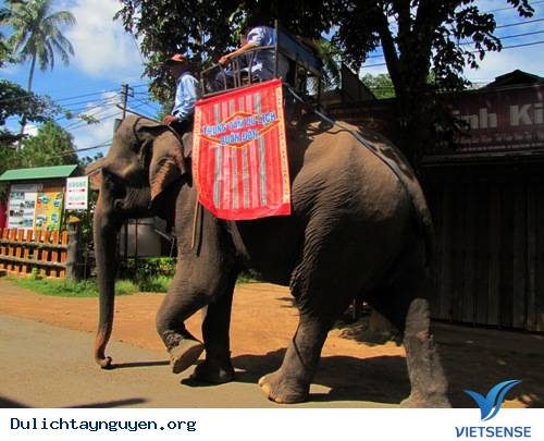 khu thăm quan Buôn Đôn