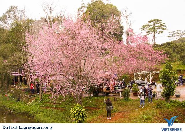 Gia Lai - Kontum – Măng Đen - Buôn Đôn – Thác Draynur - Buôn Mê Thuột - Ảnh 4 Gia Lai - Kontum – Măng Đen - Buôn Đôn – Thác Draynur - Buôn Mê Thuột - Ảnh 4