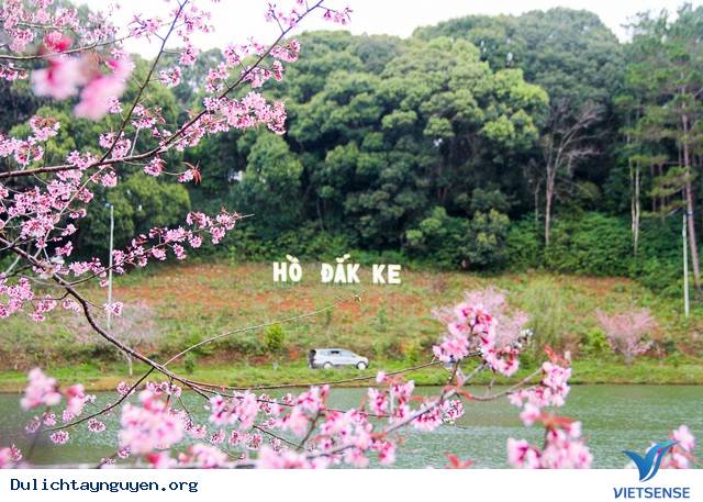 Gia Lai - Kontum – Măng Đen - Buôn Đôn – Thác Draynur - Buôn Mê Thuột - Ảnh 3 Gia Lai - Kontum – Măng Đen - Buôn Đôn – Thác Draynur - Buôn Mê Thuột - Ảnh 3