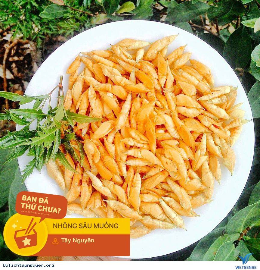 Thưởng thức món ăn kinh dị sâu Mương - Ảnh 3