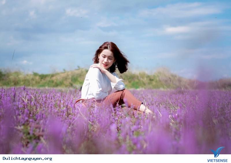 Đến Tây Nguyên Ngắm Cánh Đồng Hoa Tím Đẹp Như Mở Ở ĐakLak - Ảnh 4