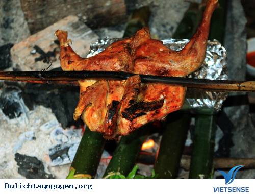 Gà Nướng Bản Đôn - Ảnh 1