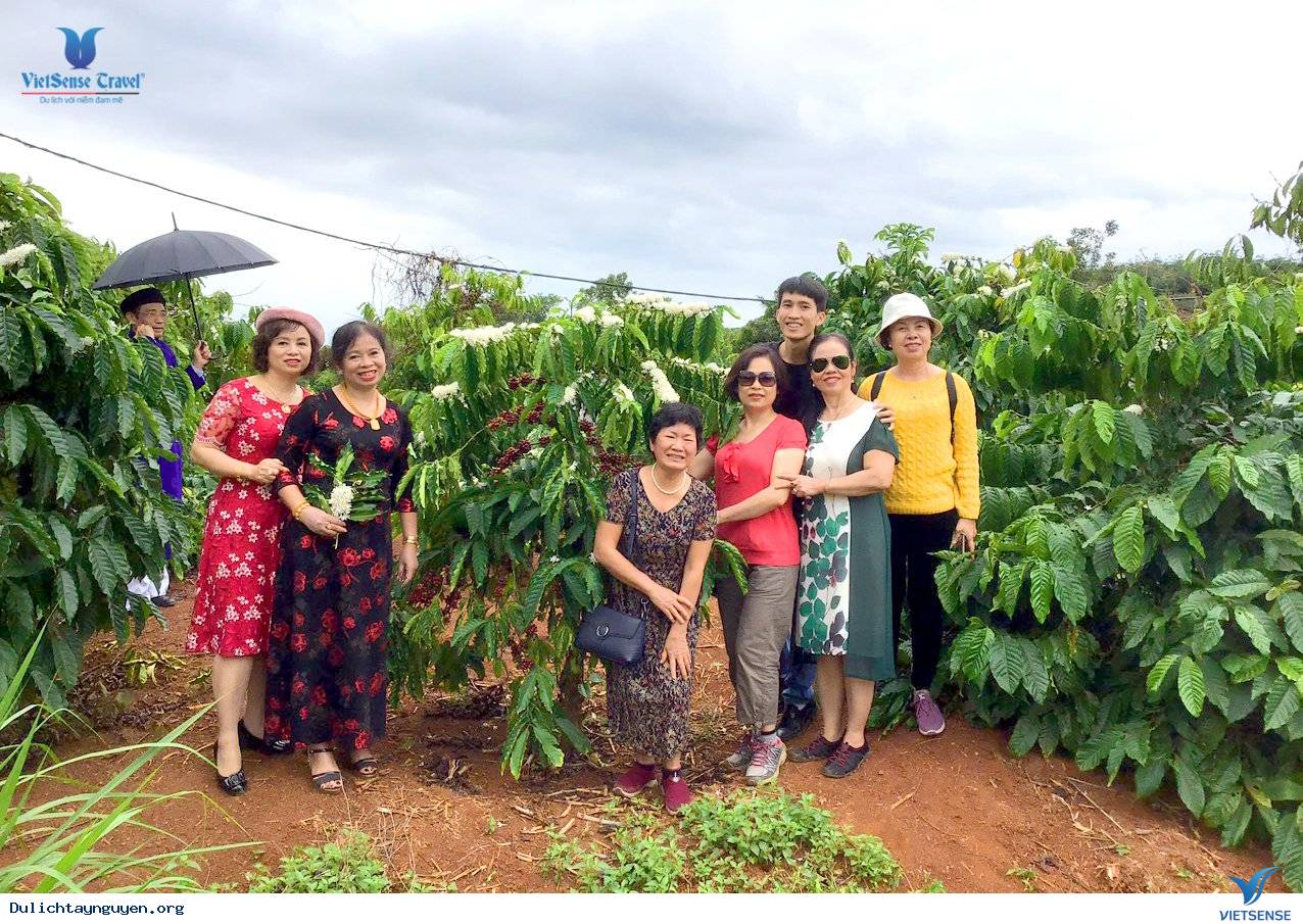 Hình ảnh đoàn Tây Nguyên 05-08.12 - Ảnh 14 Hình ảnh đoàn Tây Nguyên 05-08.12 - Ảnh 14