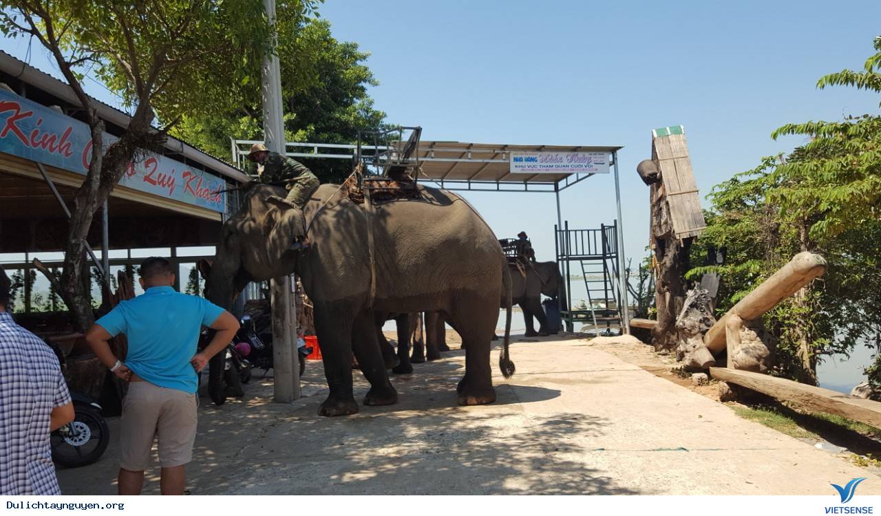 Hình Ảnh Đoàn Ghép Khởi Hành 10 - 13/3 - Ảnh 18