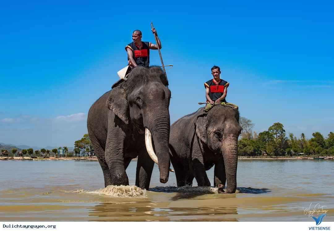 Hình Ảnh Đoàn Ghép Khởi Hành 10 - 13/3 - Ảnh 1