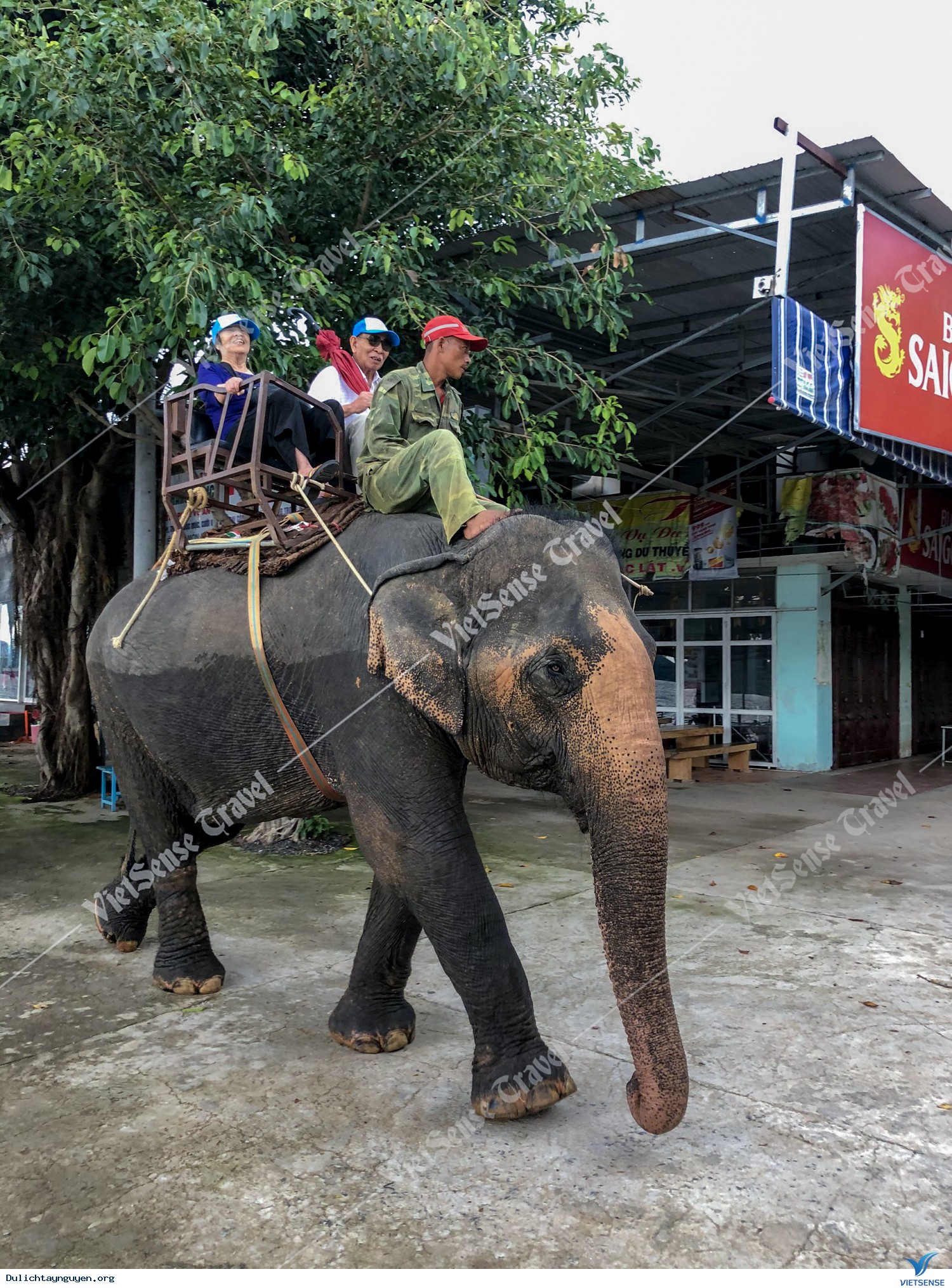 Hình Ảnh Đoàn Cựu Sinh Viên Trường ĐH Bách Khoa - Ảnh 3 Hình Ảnh Đoàn Cựu Sinh Viên Trường ĐH Bách Khoa - Ảnh 3