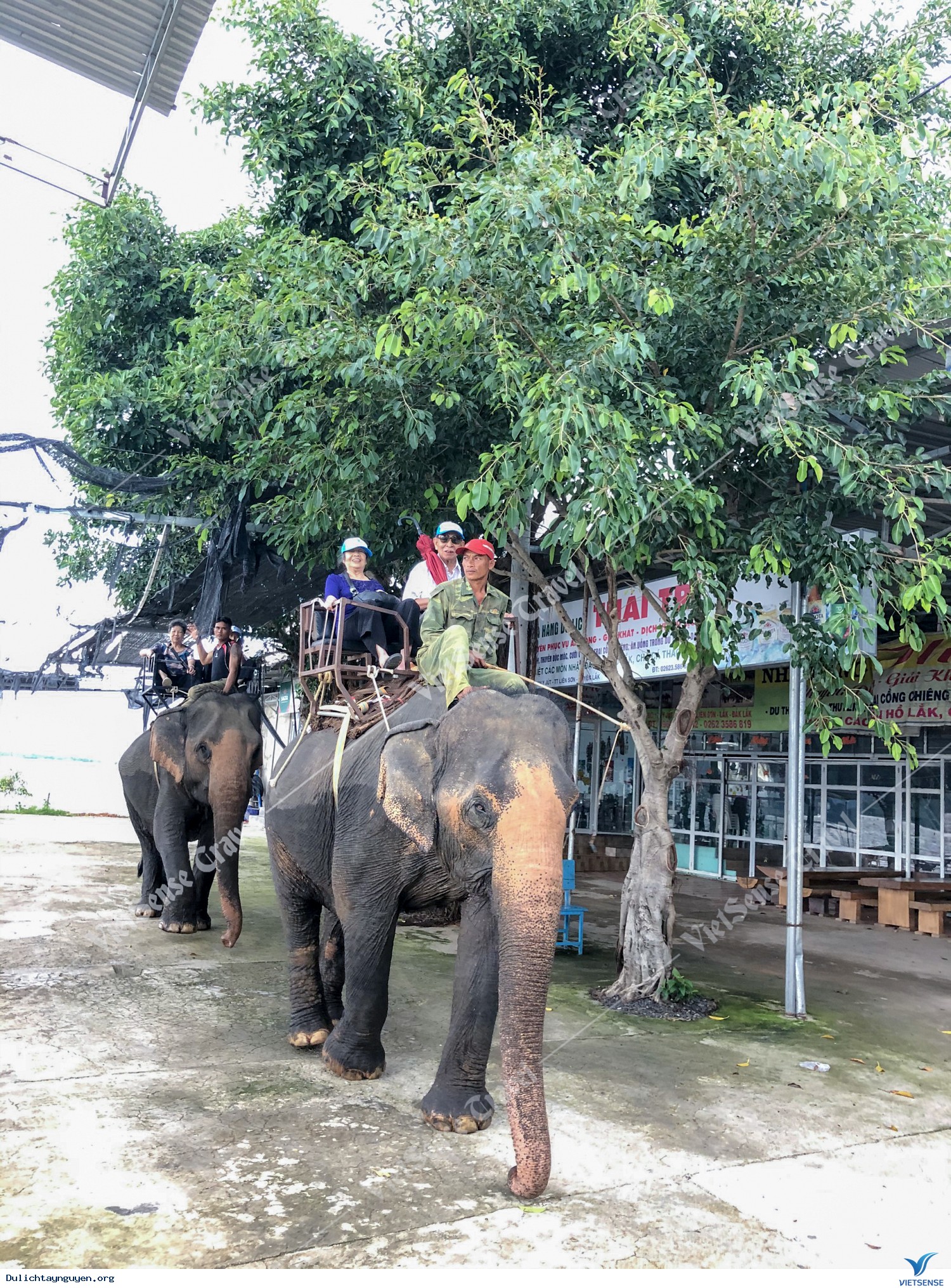 Hình Ảnh Đoàn Cựu Sinh Viên Trường ĐH Bách Khoa - Ảnh 4 Hình Ảnh Đoàn Cựu Sinh Viên Trường ĐH Bách Khoa - Ảnh 4