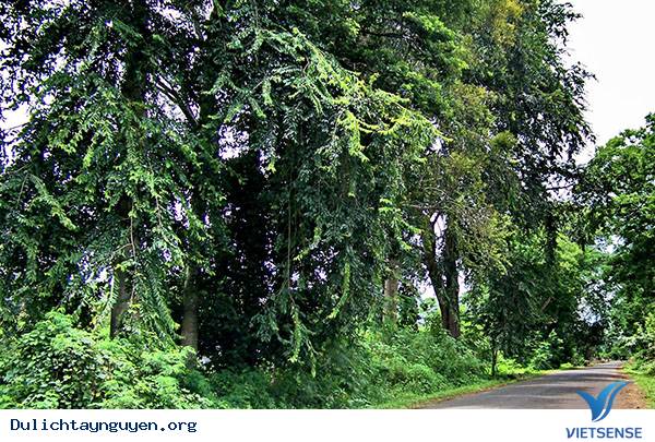 Huyện Cư M’gar: Nhiều Tiềm Năng thăm quan trải nghiệm Vẫn Đang Bỏ Ngỏ! - Ảnh 1