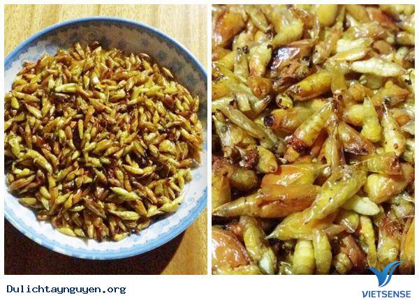 Khám Phá Mùa Săn Sâu Muồng Ở Tây Nguyên - Ảnh 6 Khám Phá Mùa Săn Sâu Muồng Ở Tây Nguyên - Ảnh 6