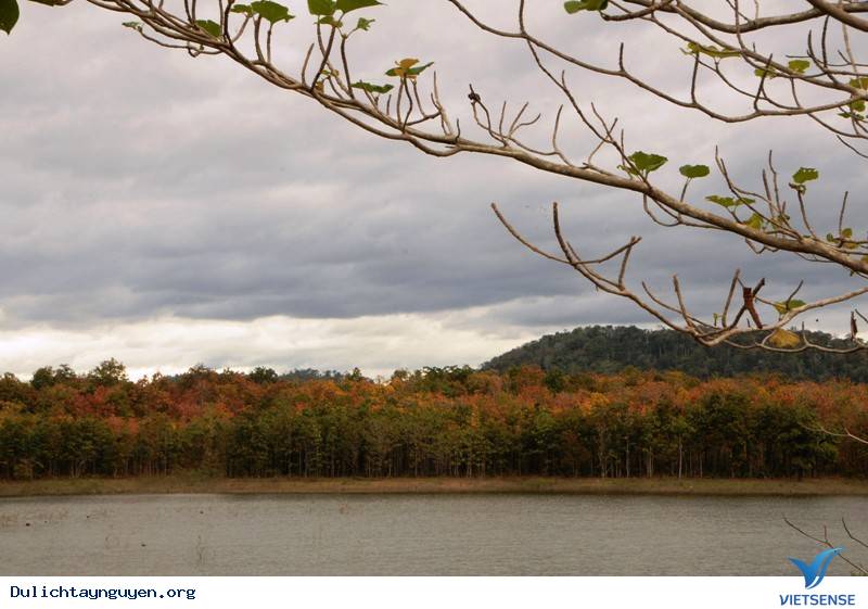Khám Phá Tây Nguyên Mùa Rừng Khộp Thay Lá - Ảnh 6 Khám Phá Tây Nguyên Mùa Rừng Khộp Thay Lá - Ảnh 6
