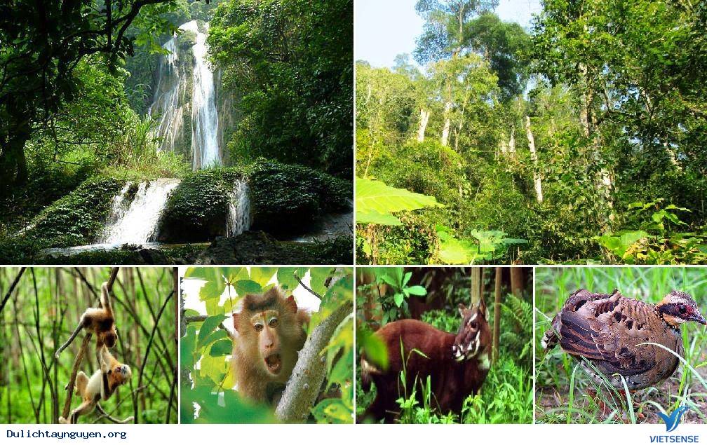 Địa điểm thăm quan - Ảnh 5