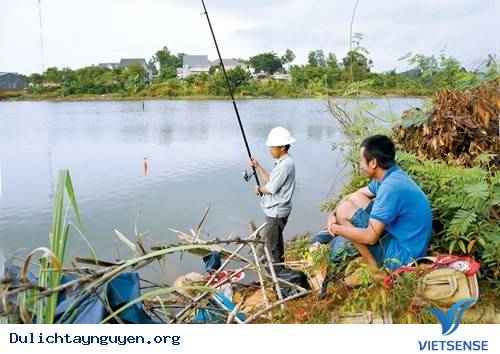 Nam Tây Nguyên - Ảnh 4