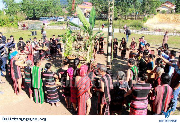 Lễ Ăn cơm Mới (Lê ân mới)