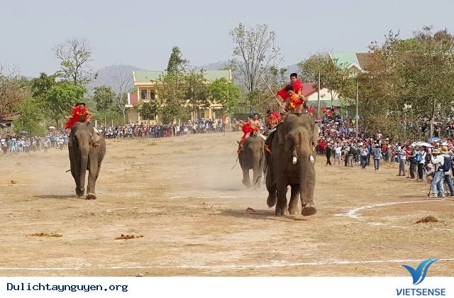 Lễ Hội Cà Phê Buôn Ma Thuột Lần Thứ VI - Ảnh 2