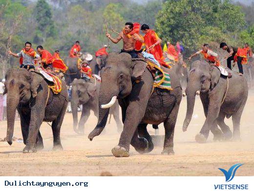 Lễ hội đua voi