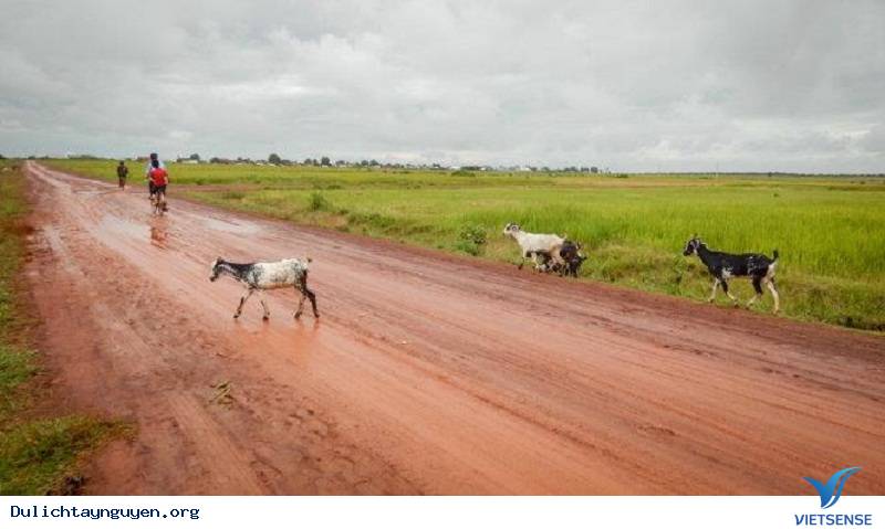 Hình ảnh đẹp trong mùa mưa - Ảnh 4 Hình ảnh đẹp trong mùa mưa - Ảnh 4