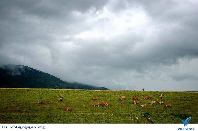 Hình ảnh đẹp trong mùa mưa - Ảnh 5 Hình ảnh đẹp trong mùa mưa - Ảnh 5
