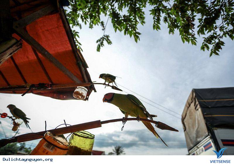 Hình ảnh đẹp trong mùa mưa - Ảnh 6 Hình ảnh đẹp trong mùa mưa - Ảnh 6