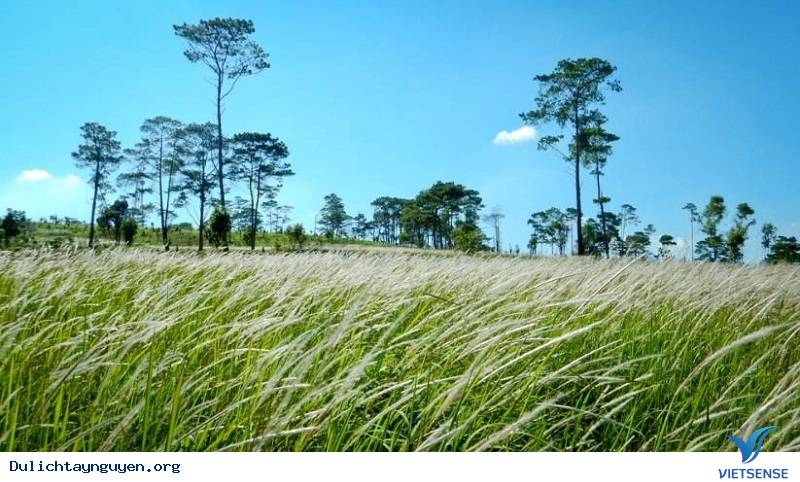 Hình ảnh đẹp trong mùa mưa - Ảnh 2 Hình ảnh đẹp trong mùa mưa - Ảnh 2