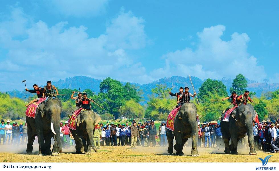 Lễ hội đua voi ở Bản Đôn Lễ hội đua voi ở Bản Đôn