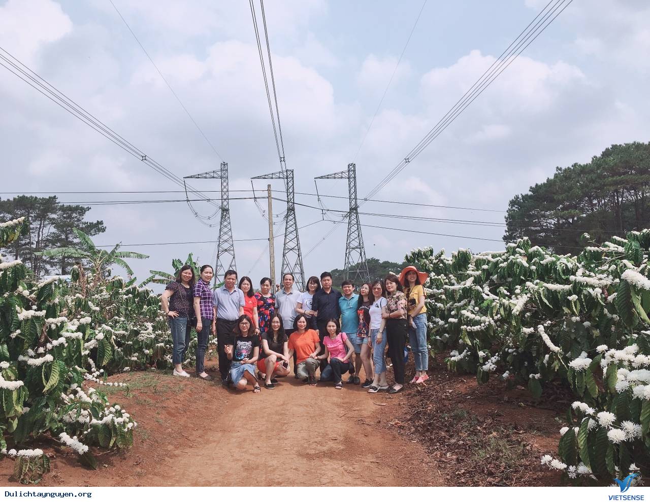 Những điều cần biết về mùa hoa cafe ở Tây Nguyên - Ảnh 7