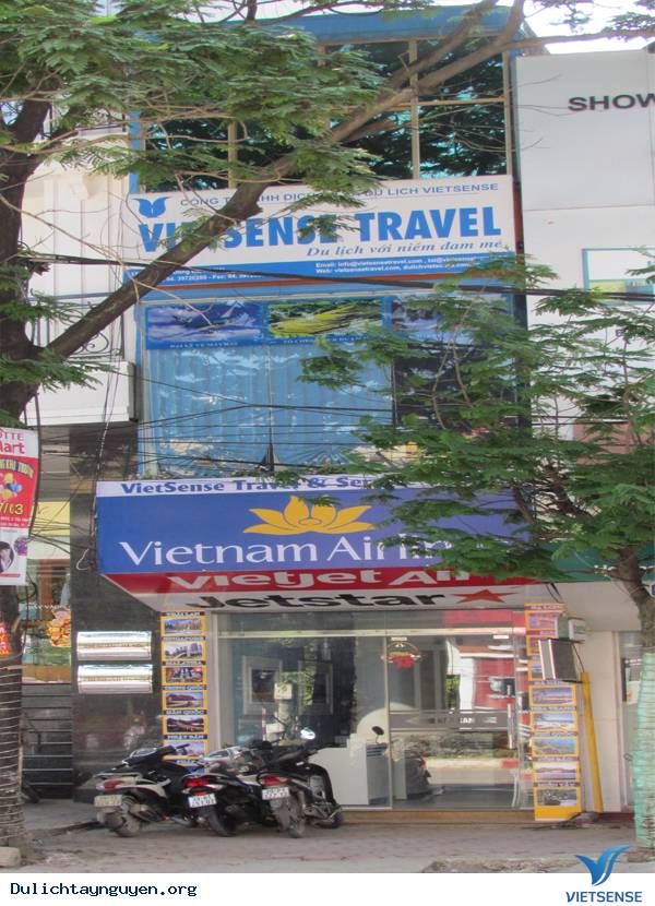 Quá Trình Hình Thành Và Phát Triển Của Công Ty Vietsense - Ảnh 4