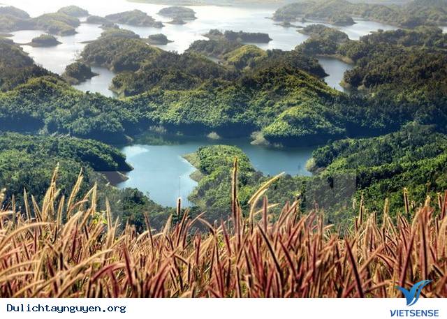 Tà Đùng – Nơi Được Ví Như Hạ Long Thu Nhỏ Của Tây Nguyên - Ảnh 3