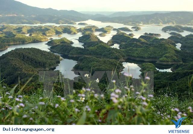 Tà Đùng – Nơi Được Ví Như Hạ Long Thu Nhỏ Của Tây Nguyên - Ảnh 4